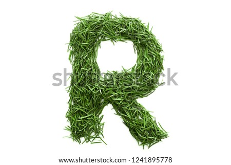 Letter R, alphabet made of green grass. Isolated on white background. Concept: ABC, design, logo, title, text, word