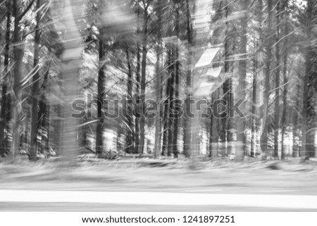 Landscape in black and white of trees motion blur