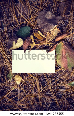 business card and Leaf.
