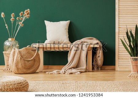 Blanket and pillow on wooden bench in green apartment interior with pouf, bag and plants. Real photo Royalty-Free Stock Photo #1241953384