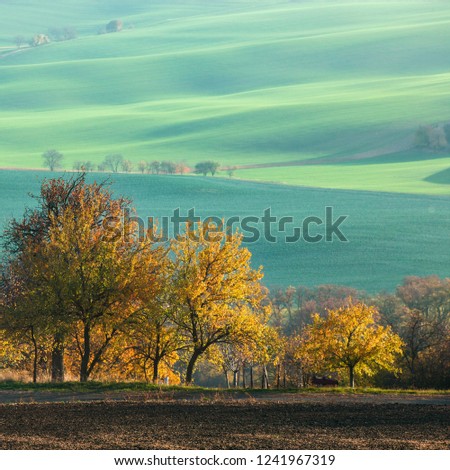 Landscape with waves hills, green fields and  trees, South Moravia, Czech Republic