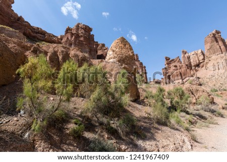 Views within the Charyn Canyon to the reddish sandstone cliffs. The canyon is also called valley of castles and is located east of Almaty in Kazakhstan.