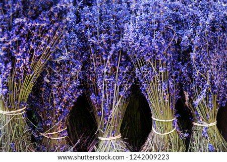 Lavender dried bouquet with violet ribbon and scattered flowers on rustic wooden desk, Shallow depth of field and soft focus, closeup