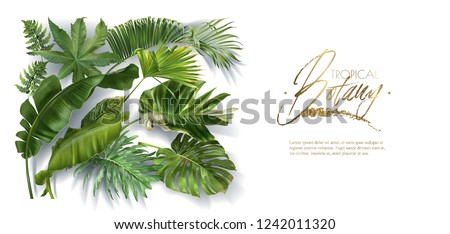 Vector horizontal banner with green tropical leaves on white background. Luxury exotic botanical design for cosmetics, spa, perfume, aroma, beauty salon. Best as wedding invitation card Royalty-Free Stock Photo #1242011320