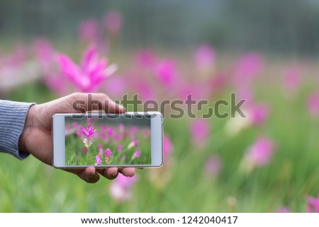 Hand of male holding smartphone on forest. technology, travel communication and people concept
