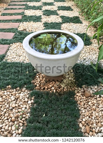 Lotus flower planting in earthenware bowl for garden decoration