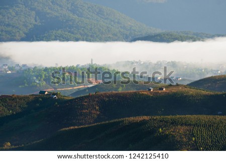 Beautiful houses in the countryside with magic fog and light at sunrise, vietnam discovery and southeast asia