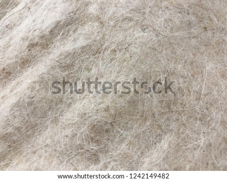 Close up sheep wool background
