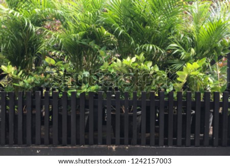The tree wall garden on blurred background  out of focus in day light - can use for background.