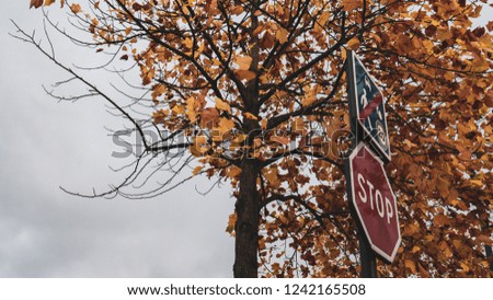 stop sign and a colorful tree with missing leafs at one side