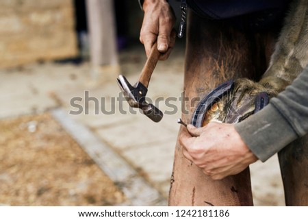 Traditional Craftsmen - Farrier at work Royalty-Free Stock Photo #1242181186