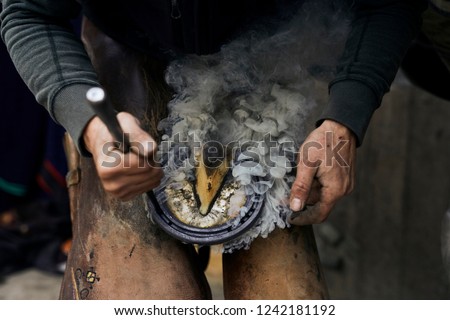 Traditional Craftsmen - Farrier at work Royalty-Free Stock Photo #1242181192