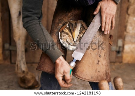 Traditional Craftsmen - Farrier at work Royalty-Free Stock Photo #1242181198