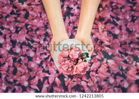 Female hands holding beautiful light pink pionies bouquet in cup above dark background with petals. Flat lay. Muted colors. Love gift greeting compliment congratulation concept. Soft selective focus