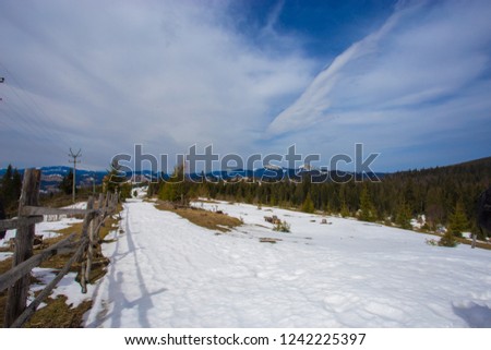 winter landscape with snow covered trees. winter time