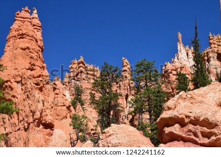 Rock pinnacles seen from Queens Garden Trail and Navajo loop trail, at sunrise point, Bryce Canyon National Park, USA 