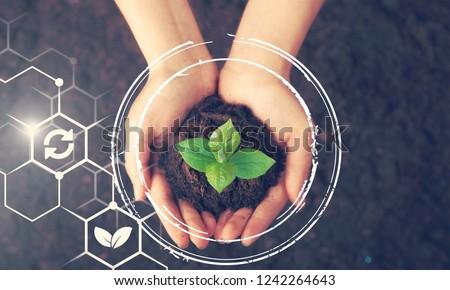 Hands of farmer growing and nurturing tree growing on fertile soil with green and yellow bokeh background / nurturing baby plant / protect nature Royalty-Free Stock Photo #1242264643