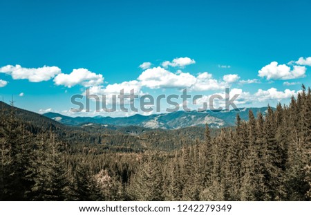 Beautiful Carpathian mountains. Cloudy blue sky above Carpathians in Western Ukraine 