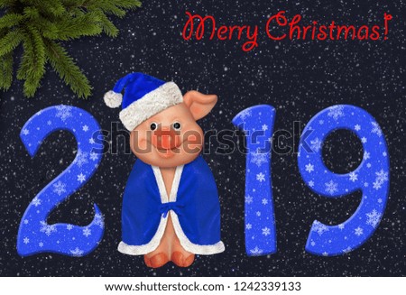 The funny greeting card with new year 2019. Merry Christmas. There is a smiling pig in a blue hat and a cloak.