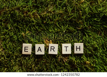 earth written with wooden letters on the grass