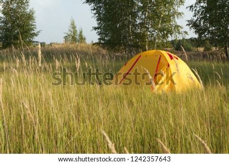 Still life photo of yellow travel camp in sunny summer field with birch and other trees