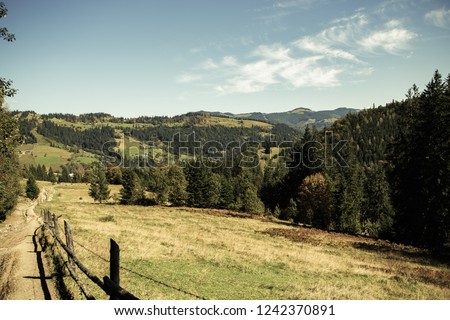 Rural fall landscape.Autumn nature in Carpathian mountains.Yellow grass,green trees and blue sky.Instagram vintage film filter with fading warm colors