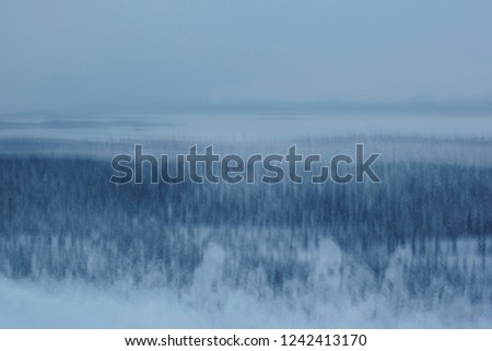 Evening landscape with winter forest at dusk