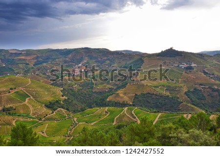 Amazing view of terrace vineyards in portuguese Douro Valley near Pinhao taken shortly before storm coming with dark clouds and sky above. The area located along Douro river is a famous wine region.