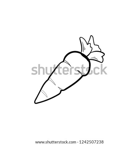 carrot doodle icon vector 