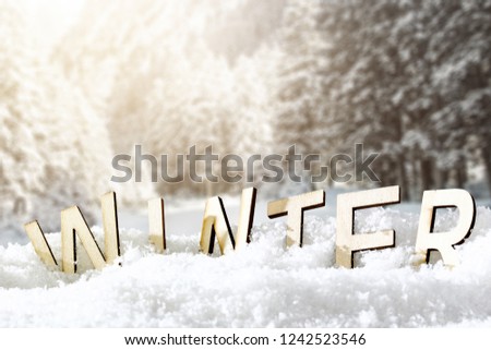 Wooden winter letters in fresh snow