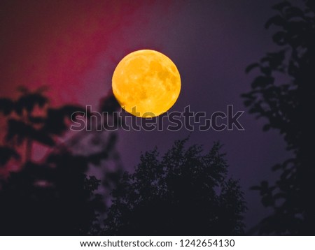 Colorful sky with cloud and bright full moon.Serenity nature background, outdoor at nighttime.forest in silhouette with starry night sky and full moon.Dark night forest.scary forest at night .