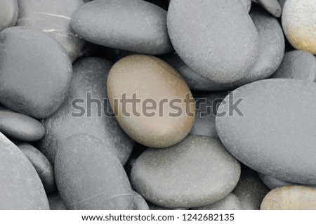 Close up pebbles on wet beach
