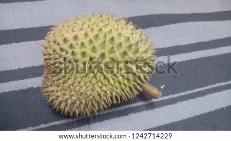 A tropical fruit named as Durian. Known as the "King of Fruits" in Malaysia or eastern Asia. One of the most wanted fruit when it's season come.
