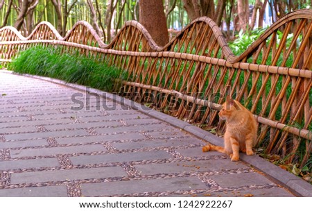 A brown cat sitting along a fence in the park