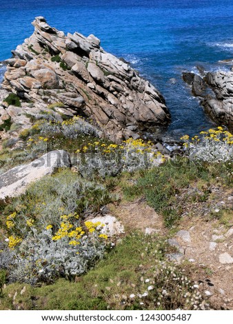 Rocky coast with yellow flowers and dark blue sea,