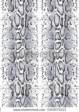 Fashion Snake Pattern