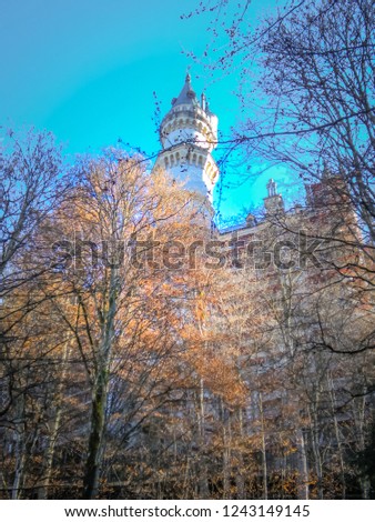 View of the Neuschwanstein castle or Schloss behind the trees in late fall, autumn in the south of Bayern in the German Alps on a sunny day with blue sky in Füssen near Munich, Bavaria, Germany.