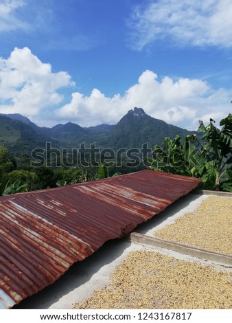 Pictures of the nature landscapes of Colombia, exactly from a coffee region, Quinchia Risaralda. spectacular landscapes and surrounded by greenery and coffee plantations
