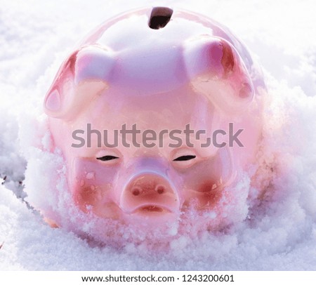 The concept of Christmas and New Year holidays. Toy pink pig on a white background of fresh snow. Copy space.