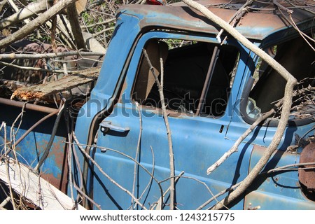 Old rusty blue pickup truck covered in trees and vines