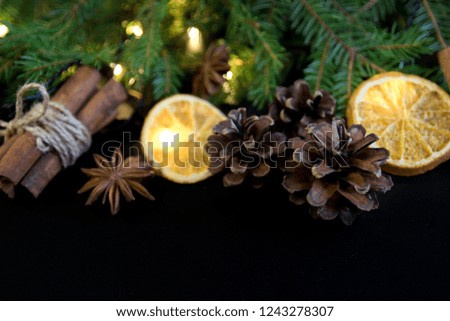 Christmas Tree Pine Branches with dry oranges. cinnamon, anise on a dark background toned