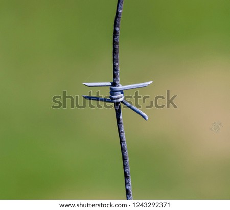 Metal barbed wire on nature as background .