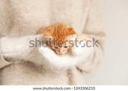 Woman in warm cosy mittens holding cute red kitten. Closeup picture