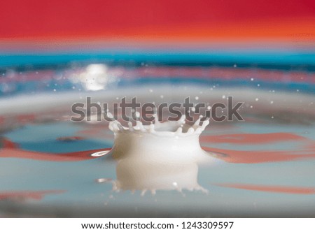 milk drop falling and impacting a surface of colorful milk close up
