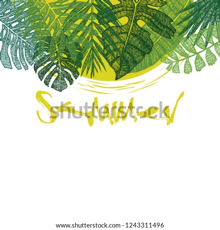 Tropical palm leaves Sammer background set