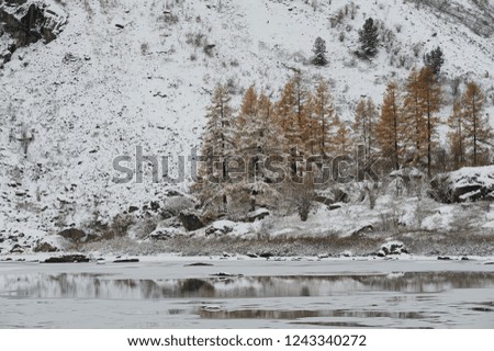Cloudy morning. Snow-covered winter mountain lake, Russia, Siberia, Altai mountains, Chuya ridge.