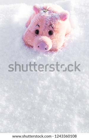 Toy pink pig with flower on white snow. Copy space.