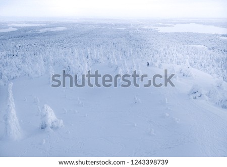 Hiker on top of the hill in Finnish Lapland. Winter scenery. Landscape photo captured with drone above winter wonderland.
