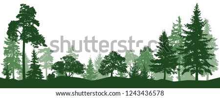 Forest, park, alley. Landscape of isolated trees. Silhouette vector