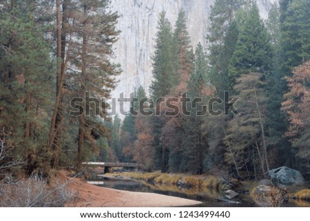 Nature in Yosemite national park in the fall